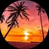 sunset318